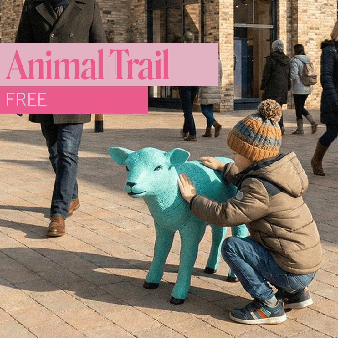 AnimalTrail_Square