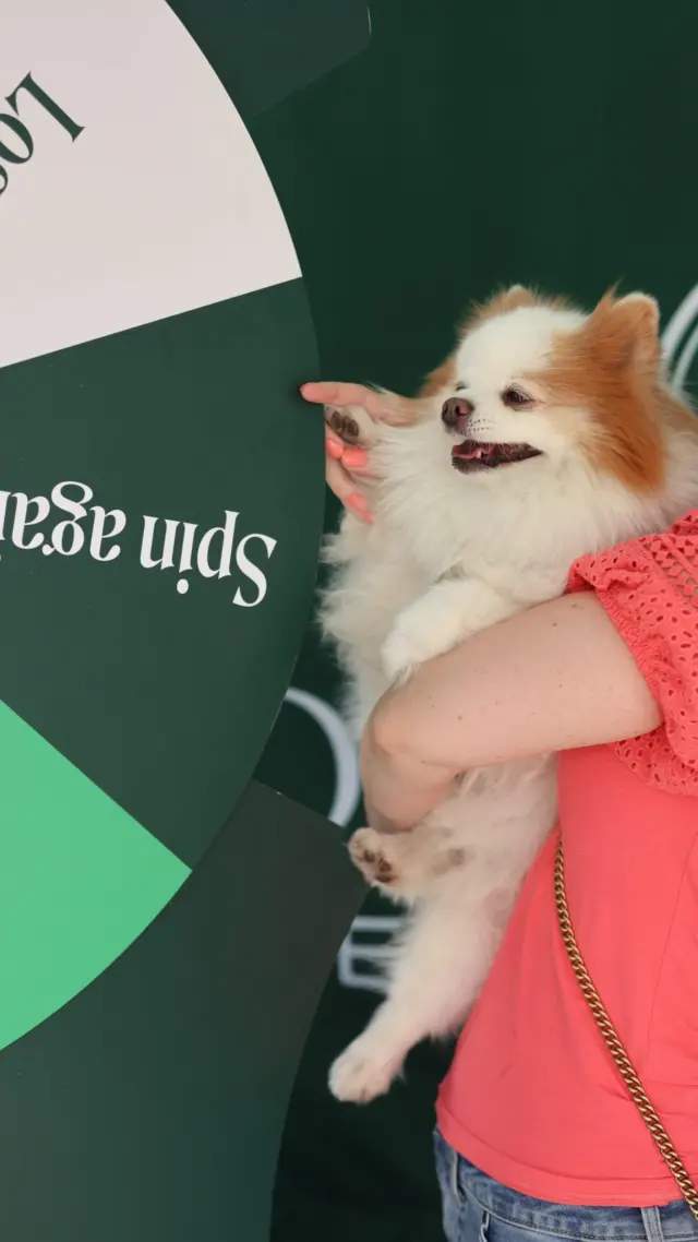 Spin to Win is back as part of our final Club Cotswolds weekend of the year 🤩

Alongside fantastic prizes from our brands, claim even BIGGER discounts for one weekend as a member of our app… did we mention it’s free to join? 

With brunch, outfits, fragrances, sweet treats and more up for grabs, do like @princessdaisypompom and take a spin on our wheel for your chance to win! 

⏰ 11am - 4pm
📅 Sat 12th and Sun 13th September 
📍 Outside Guest Services

🏷️
Club Cotswolds | App weekend | Outlet shopping | Discount and savings | Cotswolds day out | Tewkesbury