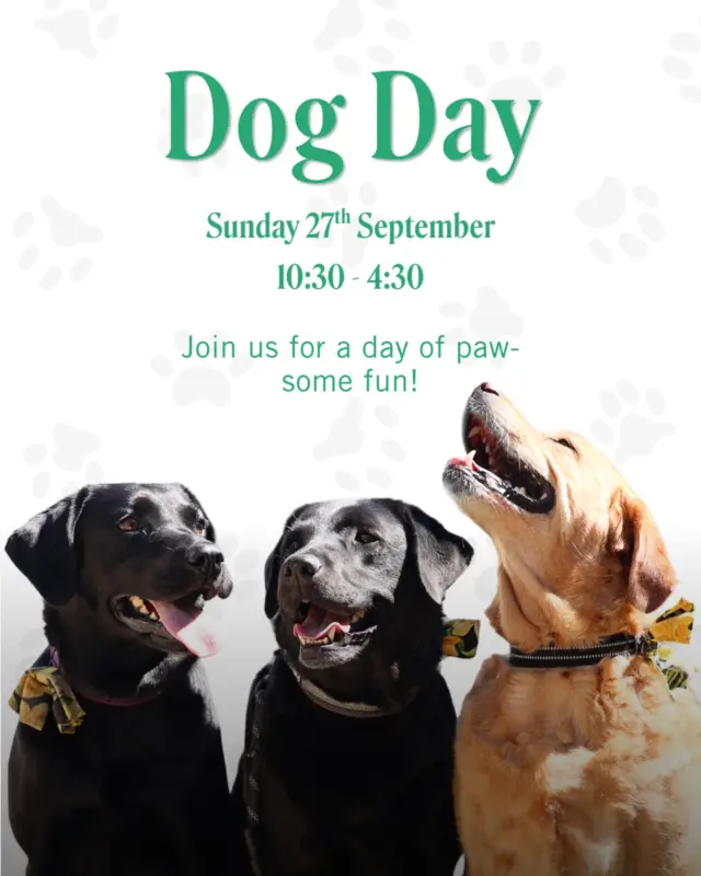 DOG DAY IS COMING! 

Calling all dog lovers! Join us on Sunday 27th September, from 10:30am – 4:30pm, for a fantastic day celebrating our four-legged friends!

🐾 Dog Trade Stalls – browse a range of fabulous goodies, treats, toys and more for your furry friends.

🐶 The Great Treasure Treat Hunt – get ready for a fun-filled adventure as your pups sniff, search and hunt their way to some tasty treasures!

Whether you’re bringing your four-legged friend or simply love dogs, there’ll be plenty to see, do and enjoy.

🗓️ Sunday 27th September
⏰ 10:30am – 4:30pm

🏷️ 
Cotswolds Designer Outlet | Dog Event | Dog Trade Stalls | Dog Friendly | Outlet Shopping | Tewkesbury