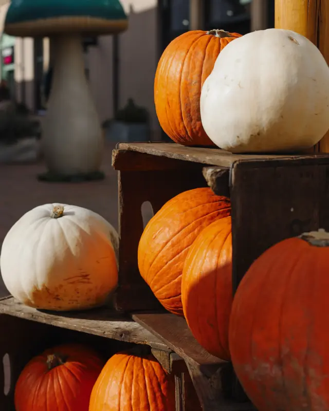 Half term fun has begun at Cotswolds Designer Outlet, from our free giant Wonderland trail, children’s workshops, roaming performers and of course, don’t forget hundreds of pumpkins and witches hats! 

Alongside family fun, our stores have some incredible offers on right now that you won’t want to miss. Plus, with many of them already having Christmas gifting options in store, why not spread the spend this year and start the festive shop early? 🎄

🏷️
Halloween activities | Family things to do | Gloucestershire day out | Free family fun | Cotswolds Designer Outlet | Tewkesbury | Alice in Wonderland